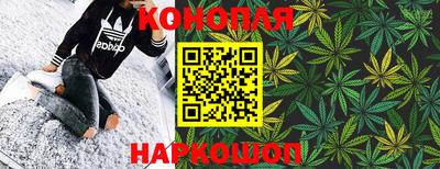 стафф Нальчик
