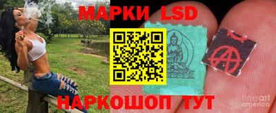 тгк Новодвинск