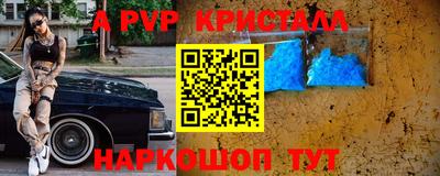 стафф Нальчик