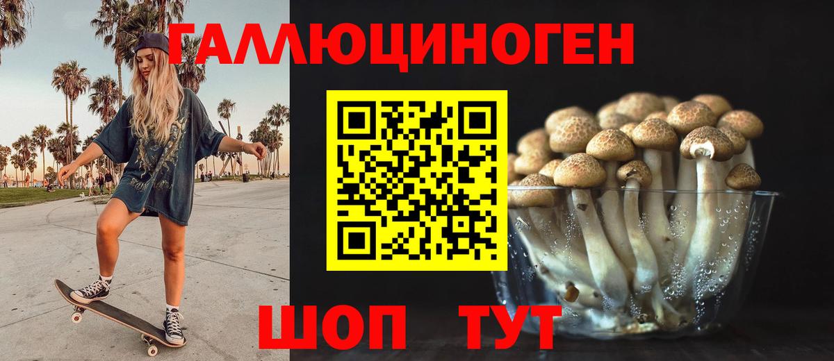 Галлюциногенные грибы Psilocybine cubensis Узловая