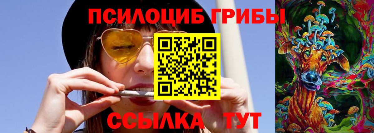 Псилоцибиновые грибы мицелий  Вход с VPN  Узловая  Галлюциногенные грибы мицелий 