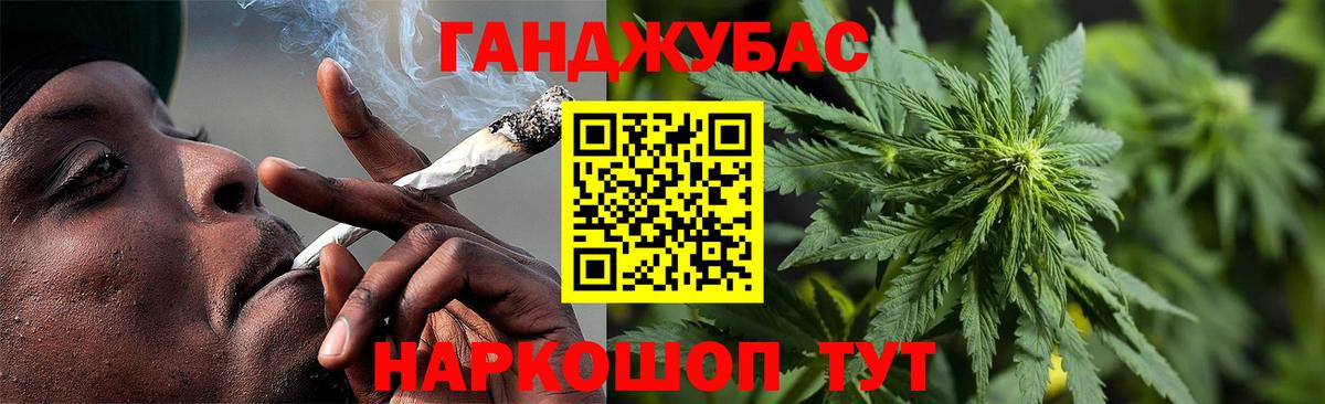 Конопля конопля Узловая